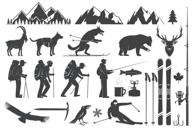 ilustraciones, imágenes clip art, dibujos animados e iconos de stock de montañismo, senderismo, escalada, pesca, esquí y otros iconos de aventura - mono ski