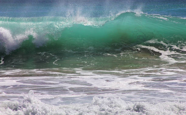 istock Big wave crashes on to the shore. Indian ocean 842337458