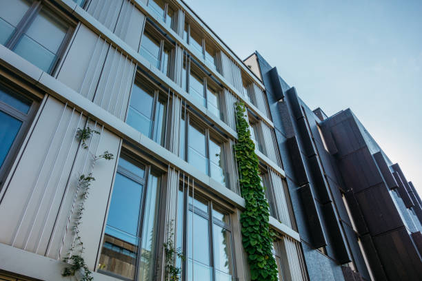 istock low angle view of apartment house with ivy 842337990