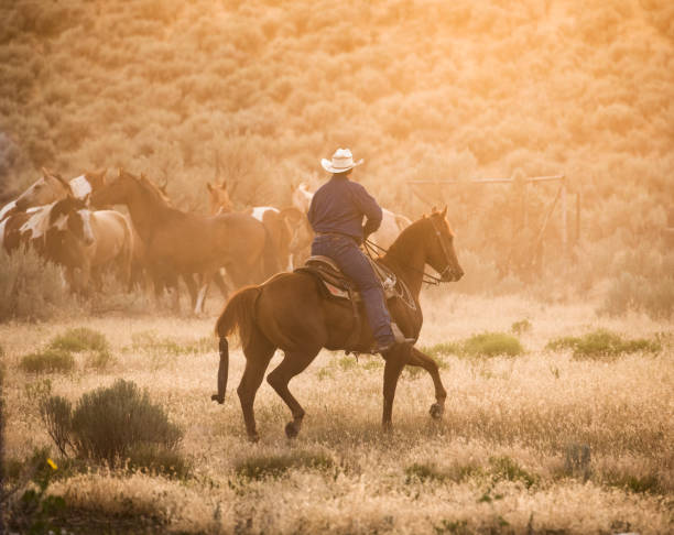 istock lone cowboy outdoors at dusk with rope lasso utah 842343948