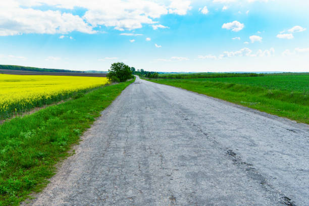 istock Old asphalt countryside road through green  yellow fields and white clouds on blue sky in summer day. Horizontal background, scenic adventures travel concept. Copy space.  Lonely calm mood meditative nature. 842353540