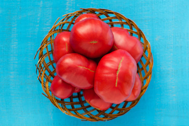 istock Large tomatoes in a wooden basket on a blue background. Tomatoes background. 842353626