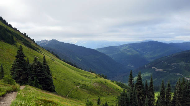 istock Scenic Mountain Biking Trail 842359182