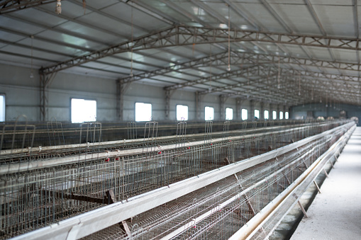 empty cage in the chicken farm indoor