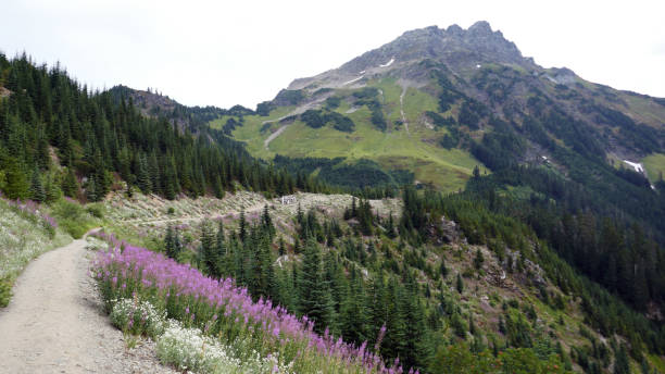 istock Hiking trail to mountain summit 842359326