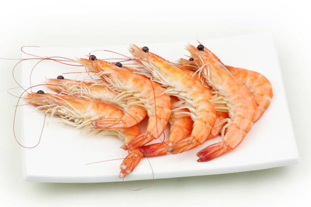 Cooked shrimps isolated on white background Cooked shrimps isolated on white background black tiger shrimp stock pictures, royalty-free photos & images