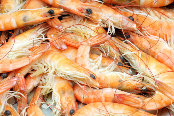 istock Cooked shrimps isolated on white background 842359796