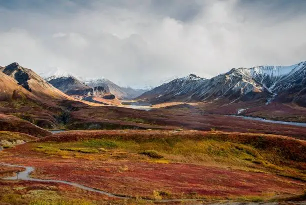 Photo of Autumn tundra in Alaska Range