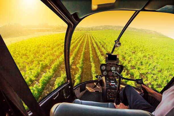 volo panoramico della napa valley - vineyard napa valley agriculture sunset foto e immagini stock