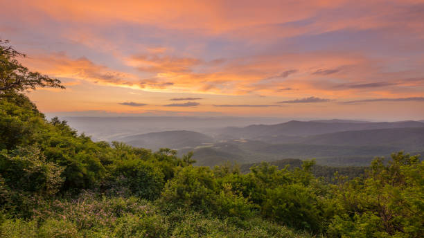 Vivid sunset from Jewell Hollow Overlook in Shenandoah National Park The sun sets and casts a beautiful pink, orange, and yellow glow on the sky as darkness begins to settle over the valley below shenandoah national park photos stock pictures, royalty-free photos & images