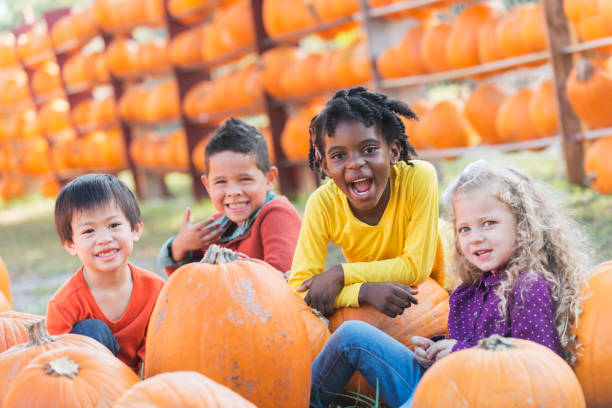 istock Four multi-ethnic children with lots of pumpkins 842374118