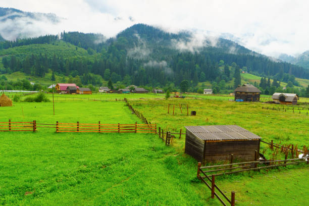 górski krajobraz wiejski pokryty mgłą i chmurami w letni poranek. surowe rustykalne wiejskie budynki i domy, zielona trawa i las. poziome tło. - tirol north tirol hut shack zdjęcia i obrazy z banku zdjęć