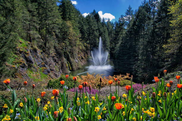 April 21, 2017 Fountain at Butchart Gardens, Victoria, BC, Canada