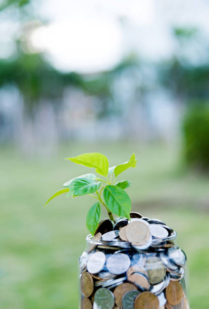 istock Plant growing from coin jar 842386410