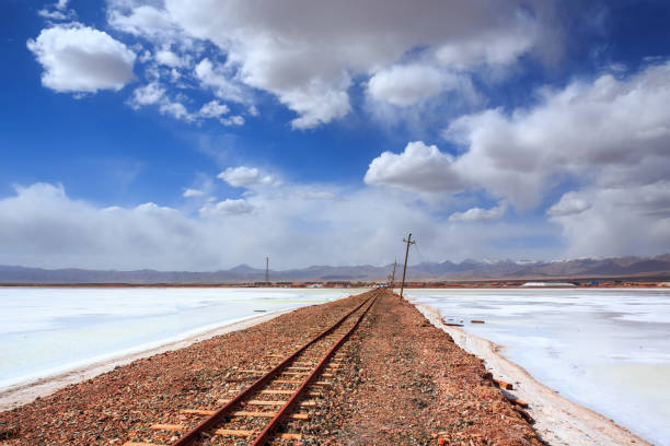 istock Railway tracks cross over saline desert under sunlight 842386526