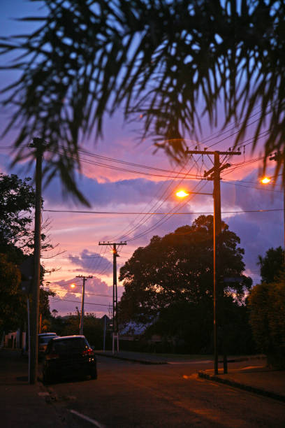 istock Purple sunset over Auckland street 842389448