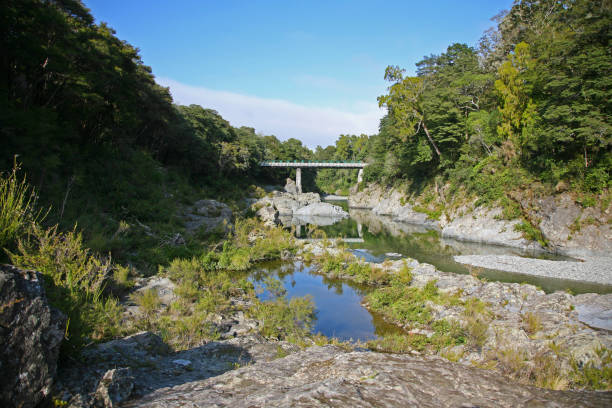 istock Pelorus Bridge, New Zealand 842389470