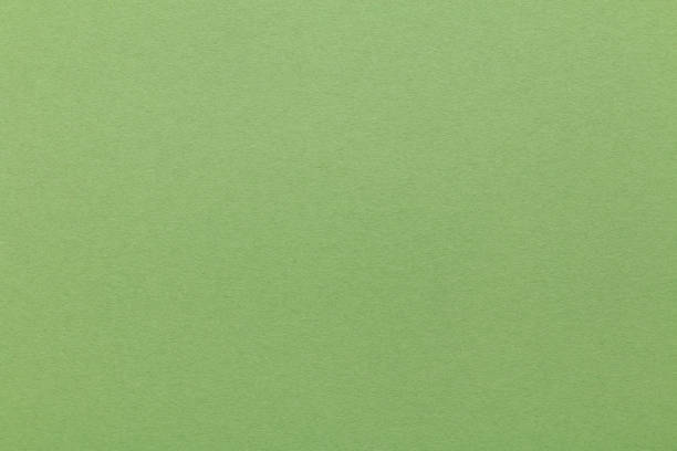 istock Japanese green paper texture background 842389520