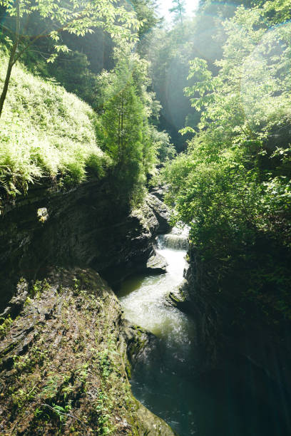istock Waterfalls and the Stone Bridge in Watkins Glen State Park, NY 842396356