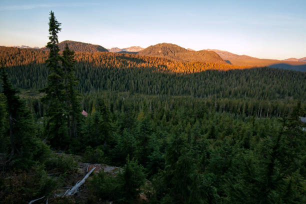 istock Sunrise at Mount Washington, Vancouver Island, BC, Canada 842396736