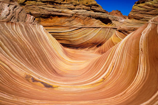 istock the wave in coyote buttes, utah, arizona 842400152