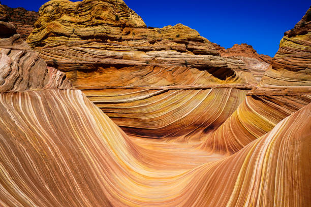 istock the wave in coyote buttes, utah, arizona 842400154