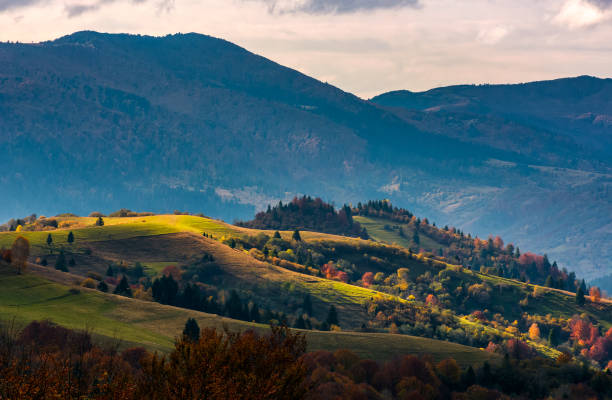 istock agricultural fields on hillside in evening autumn 842400544