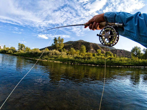 istock Casting on River Fly Fishing 842404400