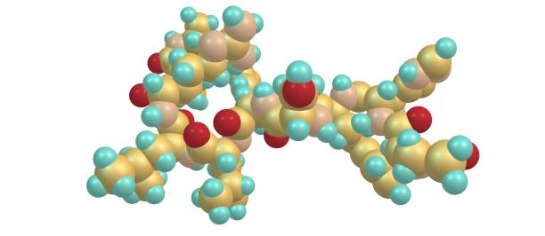 молекулярная структура лейпрорелина изолирована на белом - hydrogen molecule white molecular structure стоковые фото и изображения