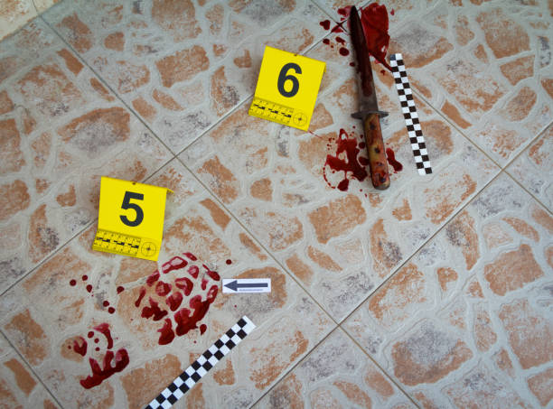 The bloody trail of footwear and bloody knife found at the crime scene The bloody trail of footwear and bloody knife, traces by which the police will identify the killer criminal investigation photos stock pictures, royalty-free photos & images