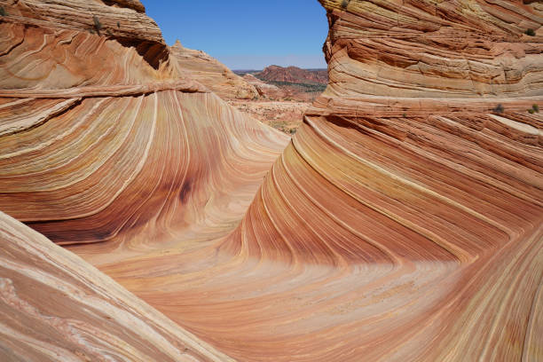 istock the wave in coyote buttes, utah, arizona 842412932