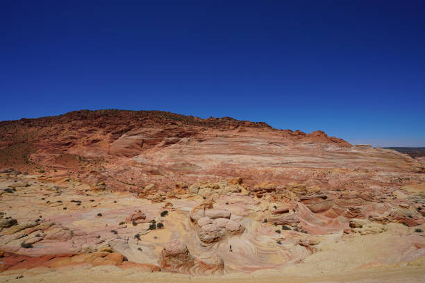 istock the wave in coyote buttes, utah, arizona 842412998