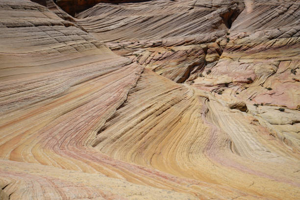istock the wave in coyote buttes, utah, arizona 842413026