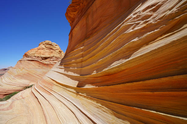 istock the wave in coyote buttes, utah, arizona 842413066