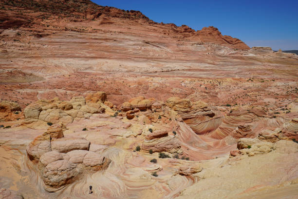 istock the wave in coyote buttes, utah, arizona 842413086
