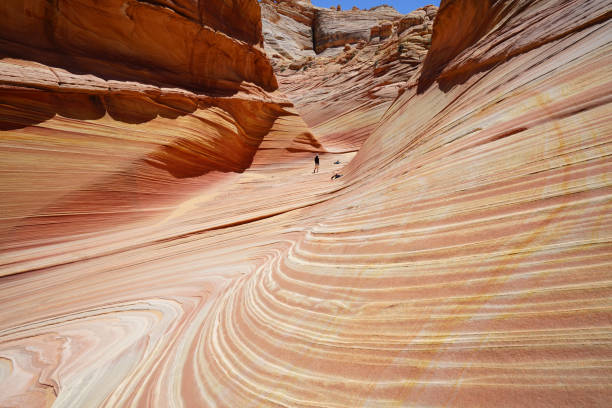 the wave in coyote buttes, utah, arizona