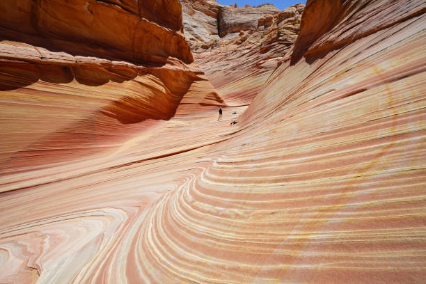 the wave in coyote buttes, utah, arizona The Wave is a sandstone rock formation located in the United States of America near the Arizona Utah border, on the slopes of the Coyote Buttes, in the Paria Canyon-Vermilion Cliffs Wilderness, on the Colorado Plateau. the wave arizona stock pictures, royalty-free photos & images