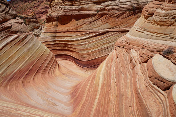istock the wave in coyote buttes, utah, arizona 842413100