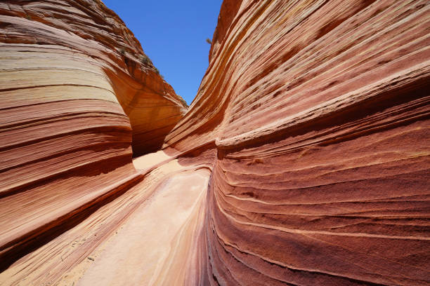 istock the wave in coyote buttes, utah, arizona 842413102
