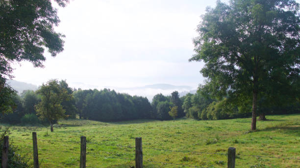 istock 4 Seasons - Early Autumn 842418396