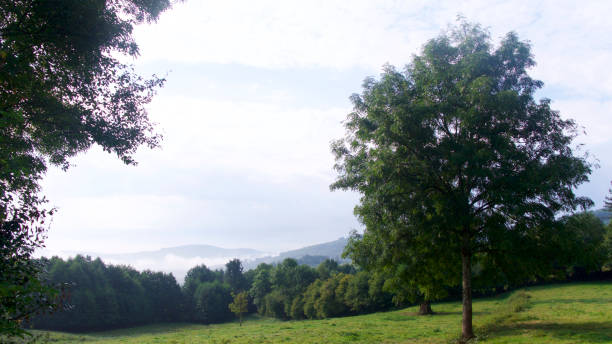 istock 4 Seasons - Early Autumn 842418408