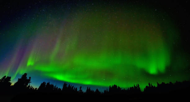 istock Aurora Borealis Northern Light in Alaska USA 842420758