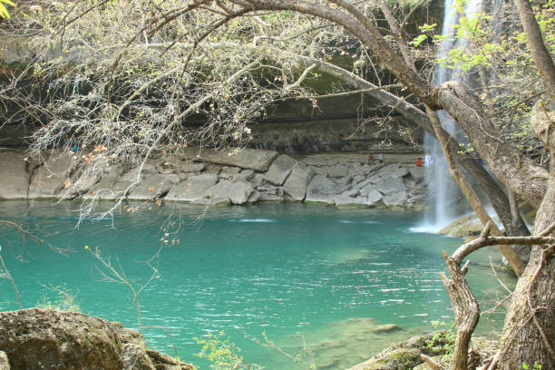 istock Hamilton Pool, water fall, in Austin recreation are. Texas, USA 842422966