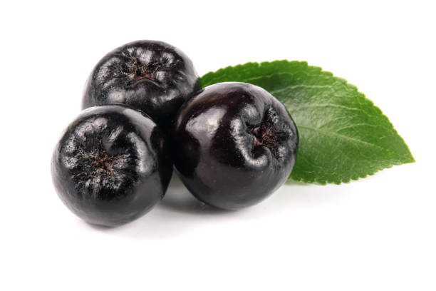istock Chokeberry with leaf isolated on white background. Black aronia berries 842424208