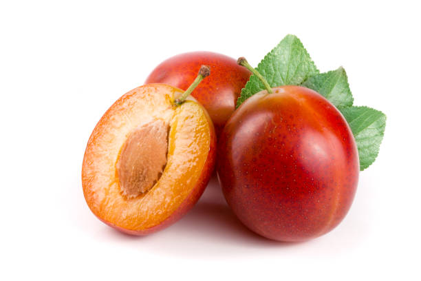 istock red plums end half with leaves isolated on white background 842425838