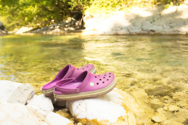 istock Purple Slippers on the River Beach 842426888