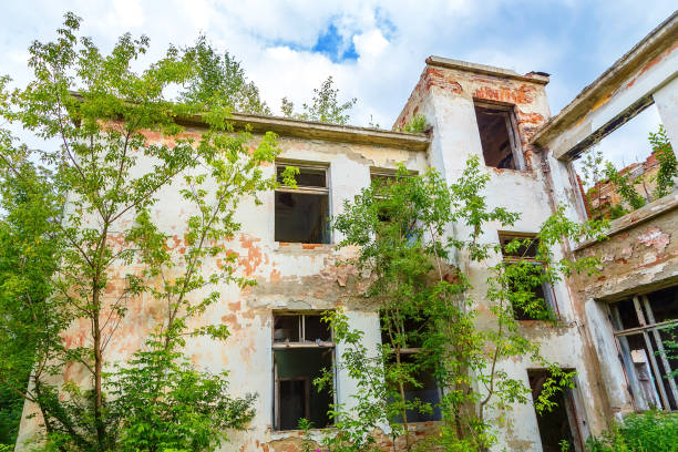 istock Front facade of an abandoned building overgrown trees and vegetation 842426996
