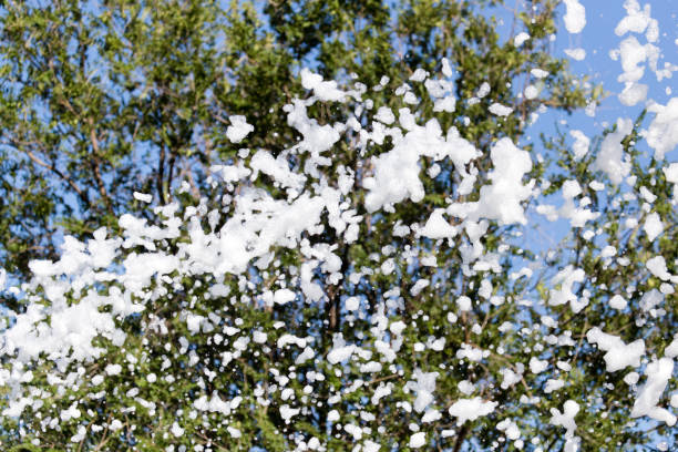 istock White foam at the festival as a background 842428294