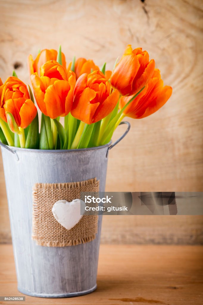 Tulip. Tulips on a wooden surface. Studio photography. Backgrounds Stock Photo