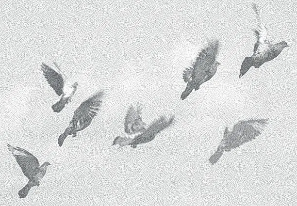 Vector illustration of Flock of pigeons flying